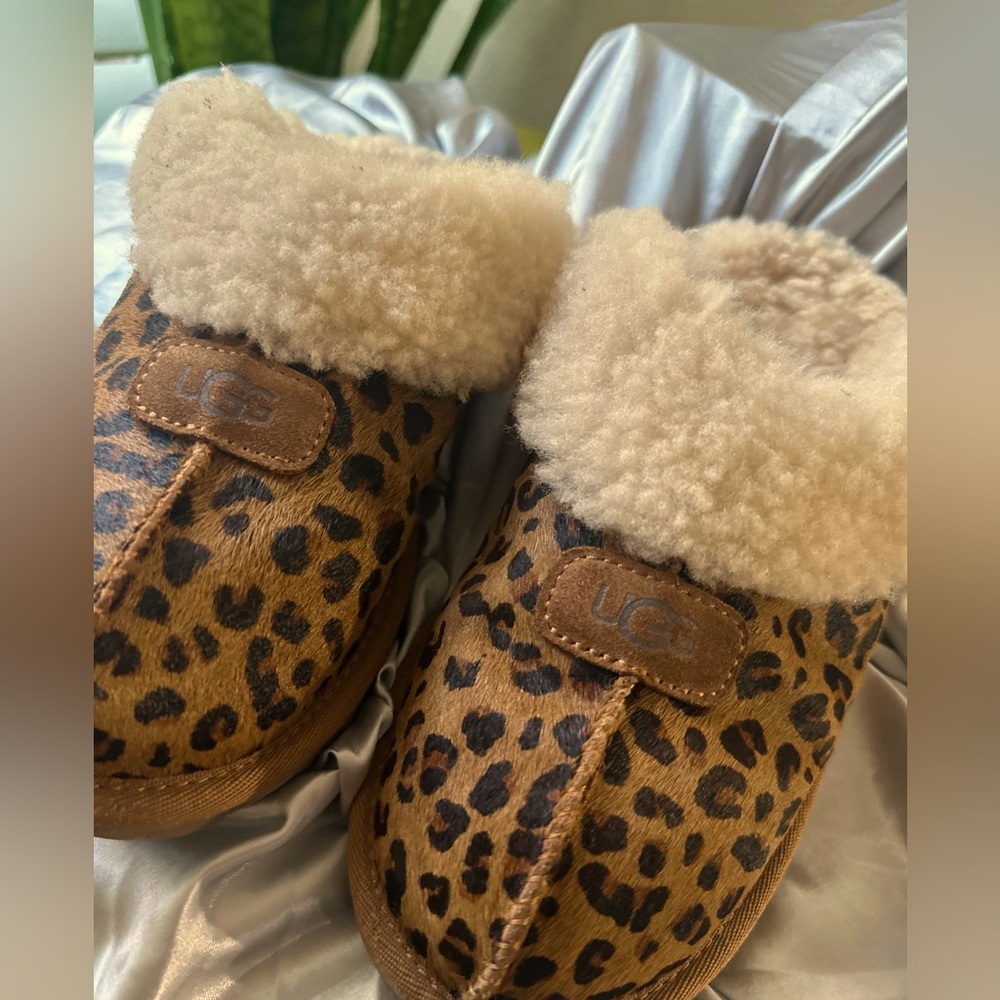 UGG Croquette